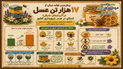  آذربایجان شرقی؛ قطب زنبورداری و تولید عسل کشور